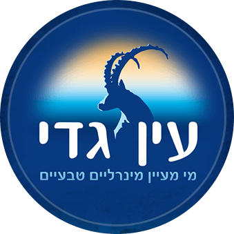 logo-EinDedi